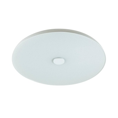 Потолочный светодиодный светильник Sonex Roki muzcolor Vasta led 4629/CL