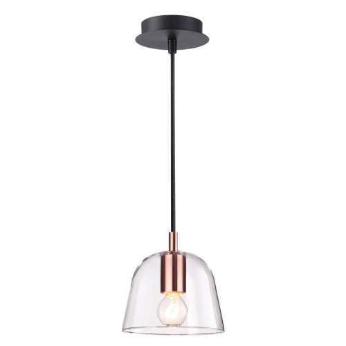 Подвесной светильник Lumion Joseph 4455/1