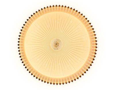 Потолочный светодиодный светильник Ambrella light Orbital Crystal FF95