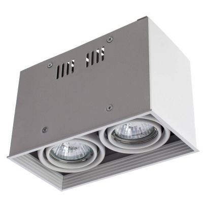Потолочный светильник Arte Lamp Cardani A5942PL-2WH Потолочный светильник Arte Lamp Cardani A5942PL-2WH