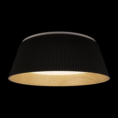 Потолочный светодиодный светильник Loft IT Evans 10224 Black