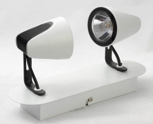 Спот Lussole Loft LSN-4101-02