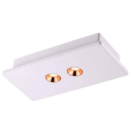 Потолочный светодиодный светильник Novotech Caro Over 357939