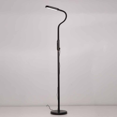 Торшер Citilux Марк CL804021