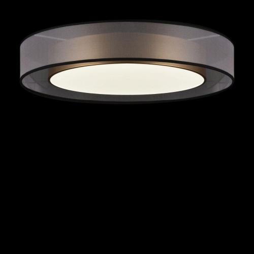 Потолочный светодиодный светильник Freya Zoticus FR6005CL-L48G