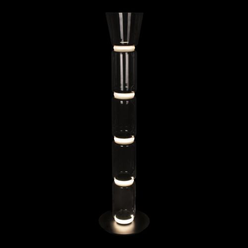 Торшер светодиодный Loft IT Noctambule 10193F/L