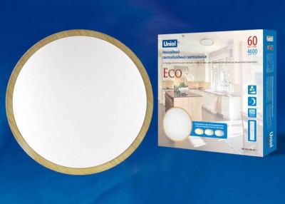 Потолочный светодиодный светильник Uniel ULI-D284 60W/SW/49 Eco UL-00005048