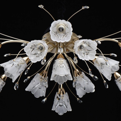 Потолочная люстра MW-Light Подснежник 294016213