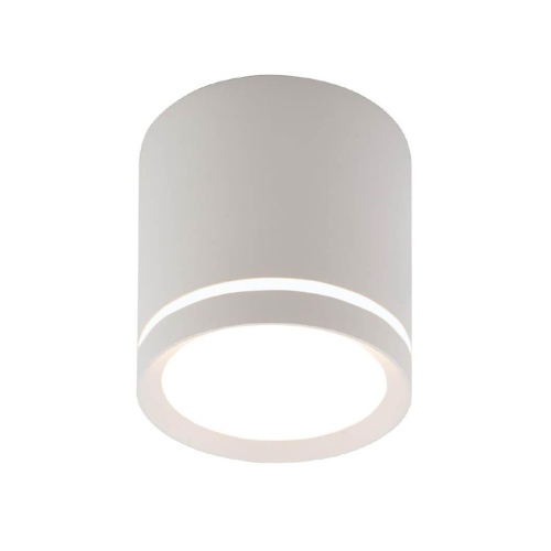 Накладной светодиодный светильник Denkirs Ribe DK4013-WH