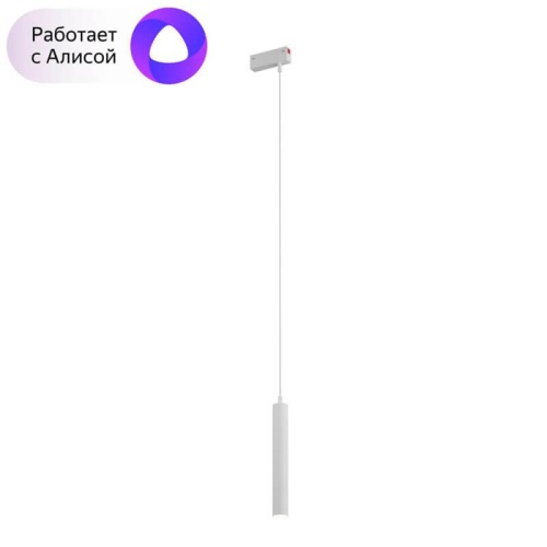 Трековый светодиодный светильник Denkirs Smart Spot DK8008-WH