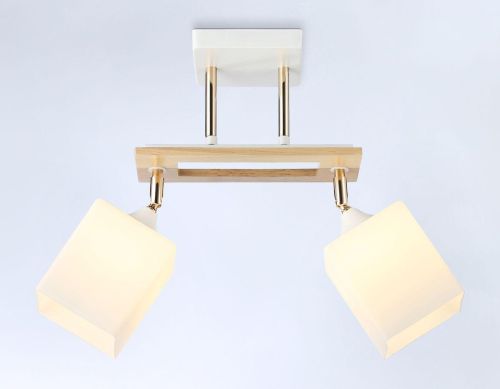 Спот Ambrella light Traditional Modern TR9501