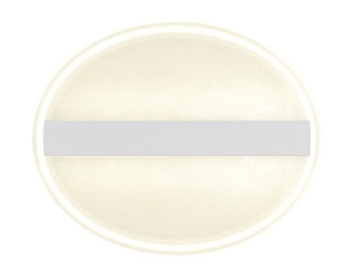 Потолочный светодиодный светильник Ambrella light Original FA607