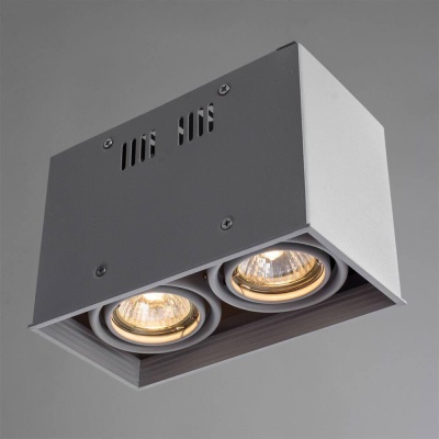 Потолочный светильник Arte Lamp Cardani A5942PL-2WH Потолочный светильник Arte Lamp Cardani A5942PL-2WH