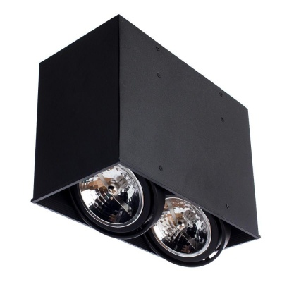 Потолочный светильник Arte Lamp Cardani A5936PL-2BK Потолочный светильник Arte Lamp Cardani A5936PL-2BK