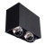 Потолочный светильник Arte Lamp Cardani A5936PL-2BK Потолочный светильник Arte Lamp Cardani A5936PL-2BK