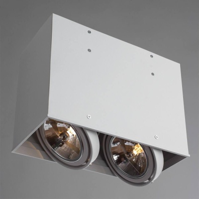 Потолочный светильник Arte Lamp Cardani A5936PL-2WH Потолочный светильник Arte Lamp Cardani A5936PL-2WH