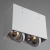 Потолочный светильник Arte Lamp Cardani A5936PL-2WH Потолочный светильник Arte Lamp Cardani A5936PL-2WH