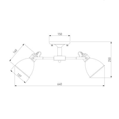 Потолочная люстра Eurosvet Denley 70112/5 черный