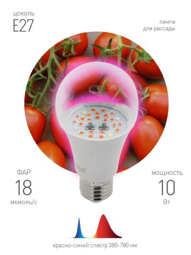 Лампа светодиодная для растений ЭРА E27 10W 1310K прозрачная Fito-10W-RB-E27 Б0050600 Лампа светодиодная для растений ЭРА E27 10W 1310K прозрачная Fito-10W-RB-E27 Б0050600