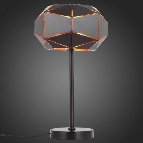Настольная лампа ST Luce Enigma SL258.404.03