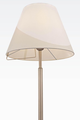 Торшер Freya Vanessa FR5084FL-01G