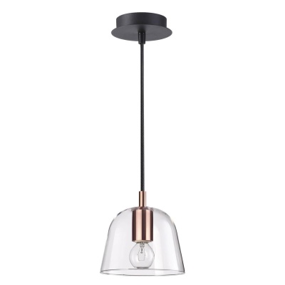 Подвесной светильник Lumion Joseph 4455/1