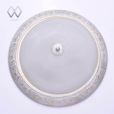 Потолочный светильник MW-Light Ариадна 12 450013703