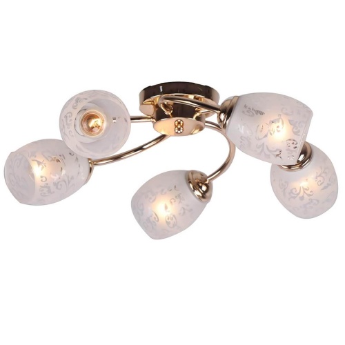 Потолочная люстра IMEX MD.0296-5-S FGD