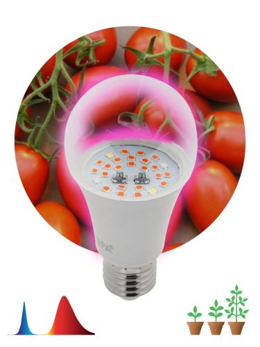 Лампа светодиодная для растений ЭРА E27 10W 1310K прозрачная Fito-10W-RB-E27 Б0050600 Лампа светодиодная для растений ЭРА E27 10W 1310K прозрачная Fito-10W-RB-E27 Б0050600