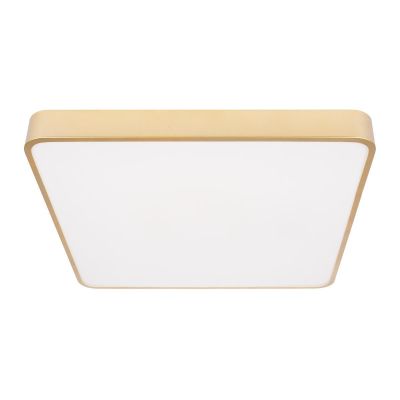 Потолочный светодиодный светильник Loft IT Flims 10228/D