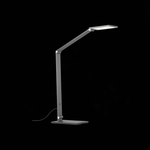 Настольная лампа ST Luce Teocoli SL841.804.01