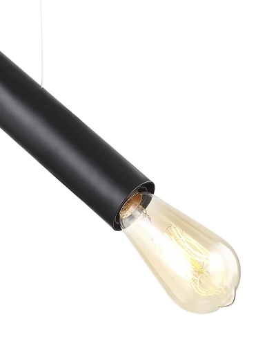 Подвесной светильник Lumien Hall Лассе 4030/1P-BK-BK