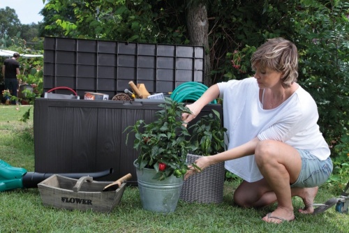 Сундук Шервуд (SHERWOOD)