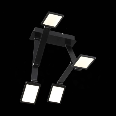 Потолочная светодиодная люстра ST Luce Teocoli SL841.402.04