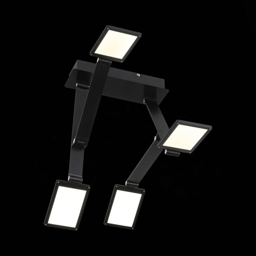 Потолочная светодиодная люстра ST Luce Teocoli SL841.402.04