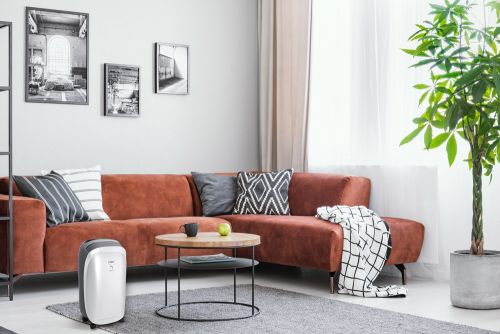 Осушитель воздуха FUNAI серии NEKO S RAD-N10F3E