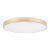 Потолочный светодиодный светильник Loft IT Flims 10228/B