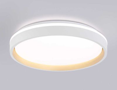 Потолочный светодиодный светильник Ambrella light Orbital Dance FZ607