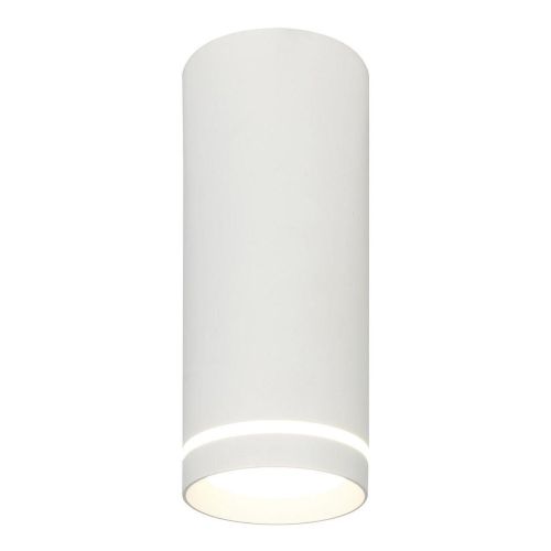 Потолочный светодиодный светильник Escada 20009SMU/02LED SWH